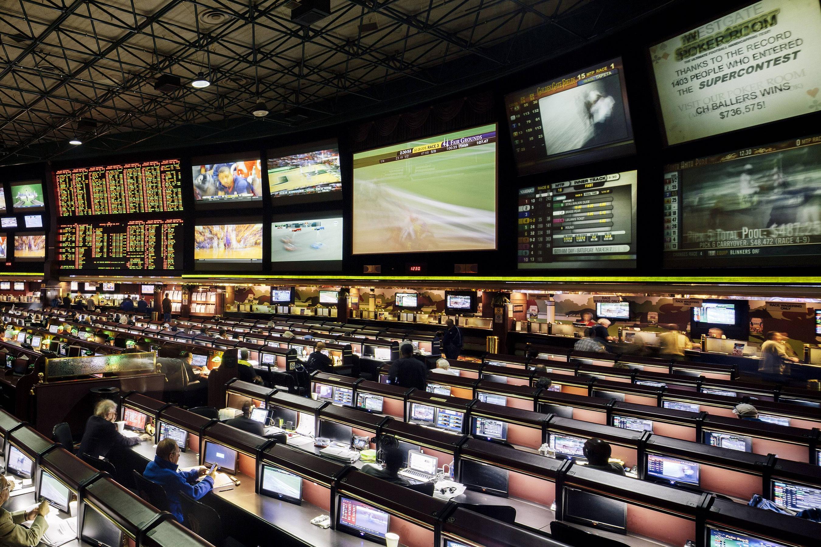 gambling sportsbook